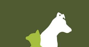 Homes Alive Pets West Lethbrdge